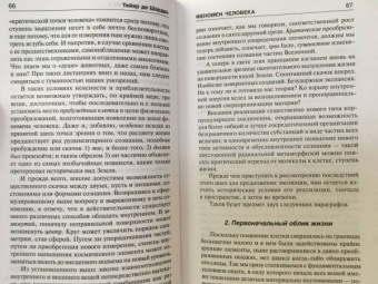 Тейяр де Шарден Пьер: Феномен человека. Божественная среда
