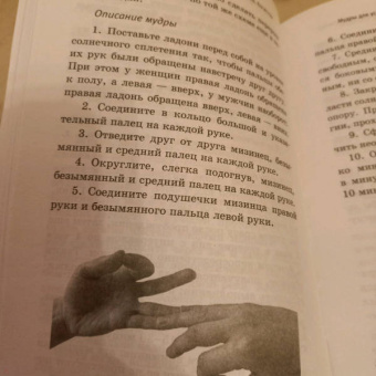 Петр Левин: Мудры. Все в одной книге. Исполни любое желание