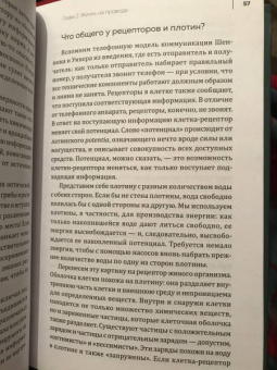 Мадлен Циге: В лесу никто не молчит. Как животные и растения общаются друг с другом