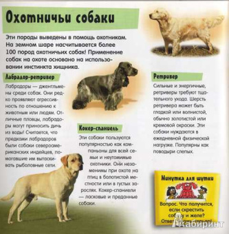 Гав-шоу