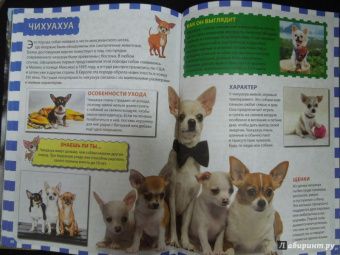 Собаки и щенки