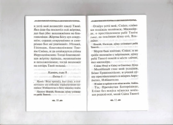 Канон о усопшем едином с чином литии, совершаемой мирянином дома и на кладбище
