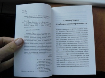 Франсуа-Мари Вольтер: Эстетика