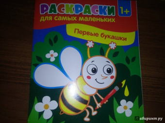 Первые букашки. Книжка-раскраска