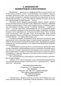 Федотов, Авдеенко, Белозерцева: Ветеринарная маммология. Учебник