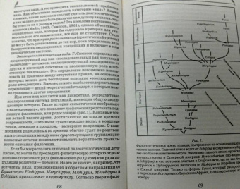 Лебедева, Дроздов, Криволуцкий: Биологическое разнообразие. Учебное пособие