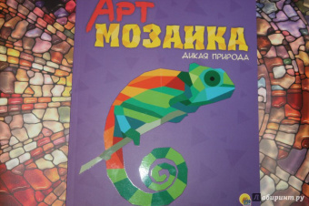 Дикая природа
