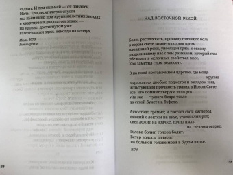 Иосиф Бродский: Урания. Пейзаж с наводнением