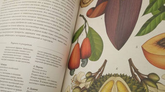 Кэти Уллис: Ботаникум