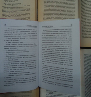 Аннабель Питчер: Облака из кетчупа