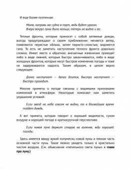 Тристан Гули: Компас внутри. Как не заблудиться в лесу, выследить животных, предсказать погоду