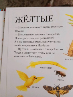 Селин Потард: Большой атлас животных