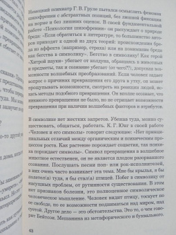 Роман Михайлов: Равинагар