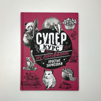 Мистер Грей: Суперкурс по рисованию. Простые зарисовки