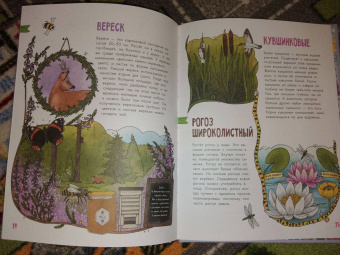 Эмма Янссон: Цветы и растения