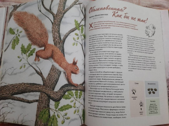 Стегман, Янсен: Наши соседи по планете. Рассказы о диких животных