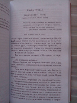 Жоржи Амаду: Габриэла, гвоздика и корица