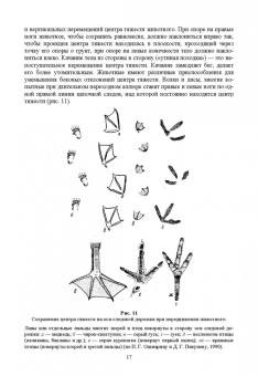 Анатолий Суворов: Основы полевых наблюдений. Полевое следопытство. Учебник для ВУЗов