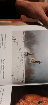 Россия самая красивая страна. Фотоконкурс 2021