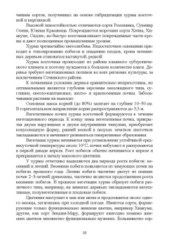 Константин Лактионов: Частное плодоводство. Субтропические культуры. Учебное пособие для СПО