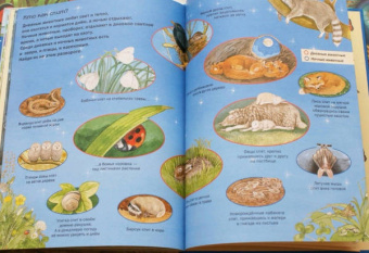 Большая книга времен года
