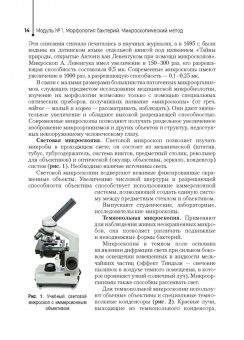 Царев, Балмасова, Ипполитов: Основы микробиологии и инфекционная безопасность. Лабораторный практикум. Учебное пособие