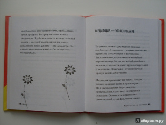 Ошо Багван Шри Раджниш: Что такое медитация? 39 способов помочь себе уже сегодня