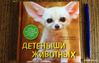 Блэйман, Истланд: Детеныши животных