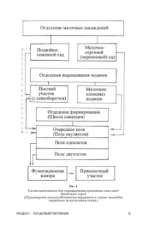 Кривко, Агафонов, Чулков: Питомниководство садовых культур. Учебное пособие для СПО