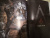 Эрик Корбиран: Assassin's Creed. Скипетр Асет