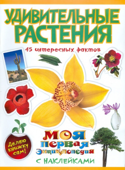 Наталья Костина: Удивительные растения