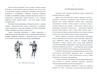 Алексей Лобанов: Медико-биологические основы безопасности. Учебник