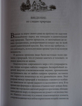 Петер Вольлебен: Тайные знаки природы. Как стать погодным детективом и читать приметы