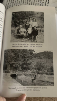 Минэко Ивасаки: Жизнь гейши. Мемуары самой известной гейши в мире