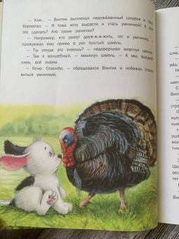 Ирина Гурина: Маленькие сказки про большую умничку