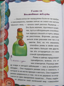 Тоня Шипулина: Волшебные жёлуди. Одно удивительное приключение трусливого рюма и глупого норика