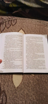 Гаврилова, Жильцова: Академия стихий. Книга 2. Душа огня