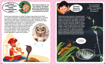 Кэти Франко: Почему? 100 вопросов и ответов в картинках