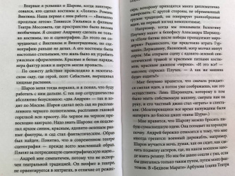 Андрей Житинкин: Приключения режиссера
