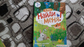В лесу. Книжка с наклейками. 2+