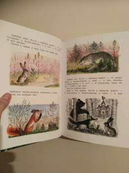 Русские сказки. Рисунки Ю.Васнецова