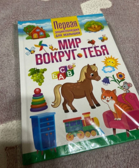 Мир вокруг тебя. Первая энциклопедия для малышей