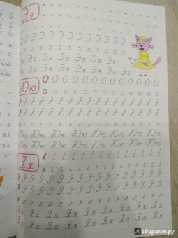 Три кота. Каллиграфические прописи. Буквы и цифры