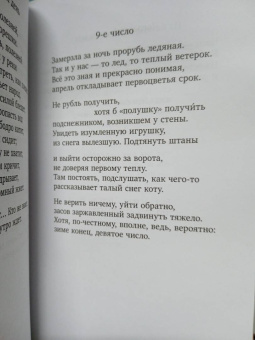 Петр Мамонов: Ясность