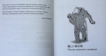 Илья Пушкин: Песни влюбленного медведя