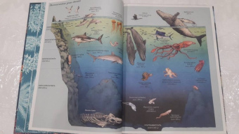 Лавдэй Триник: Океанариум