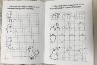 Блокнот с заданиями. IQничка. Графические ребусы. Более 50 игровых заданий. Учимся чертить и рисов.