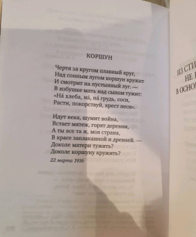 Александр Блок: Незнакомка. Стихотворения, поэма