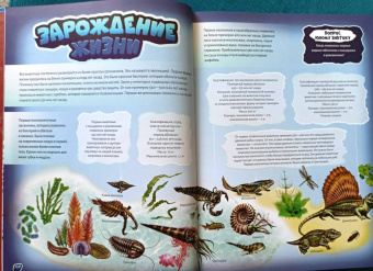 Хомич, Ликсо, Барановская: Динозавры