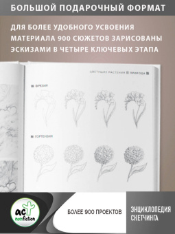 Энциклопедия скетчинга. Более 900 проектов